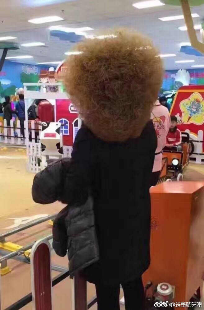 还有一周的时间天津的马路上的大妈就都是这种发型了