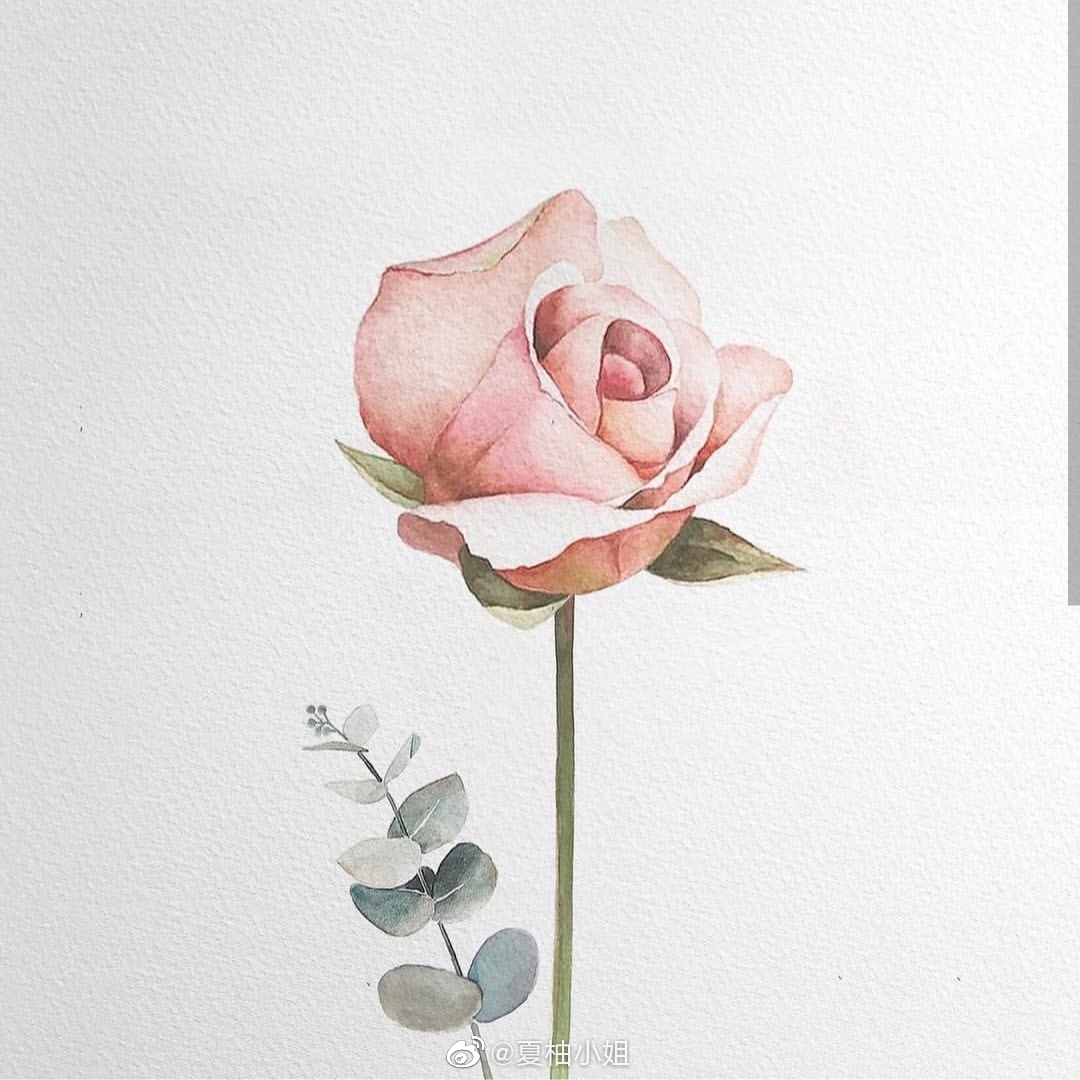 小清新水彩花卉,好温柔的颜色