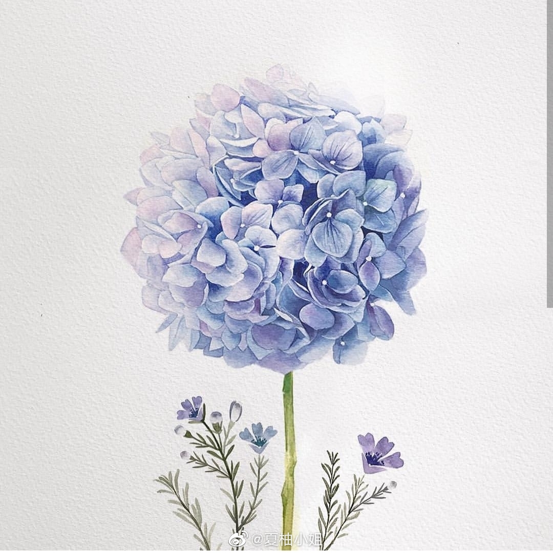 小清新水彩花卉,好温柔的颜色