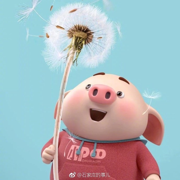 情人节就要到了转发这组猪小屁桃花头像今年一定能脱单的