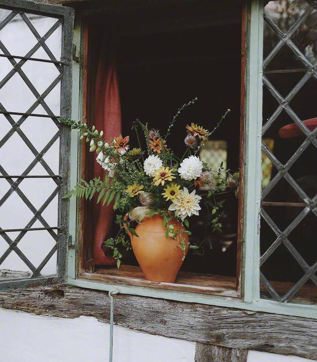 莳花摄影人:milliproust