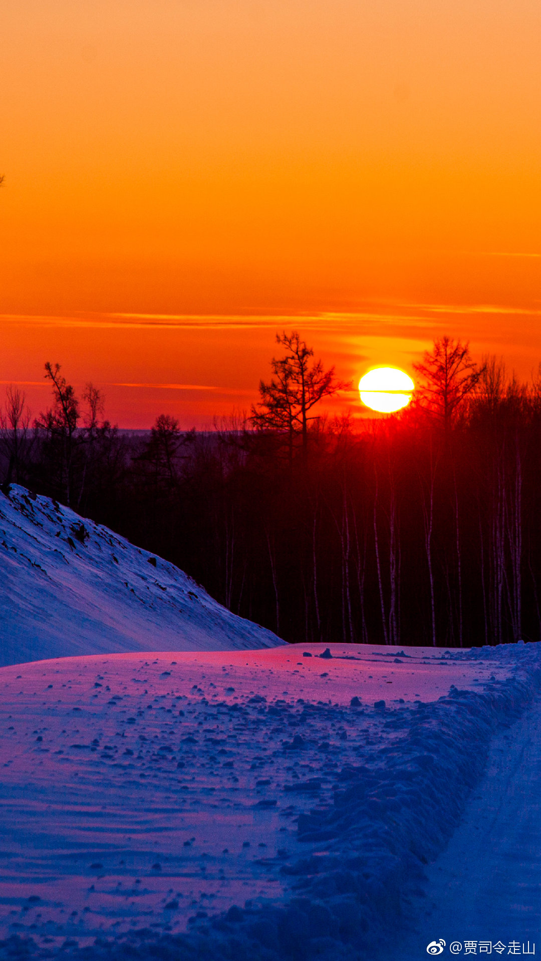 送一堆朝气蓬勃的小太阳,祝大家"日照高升"|小太阳|日照|日出_新浪