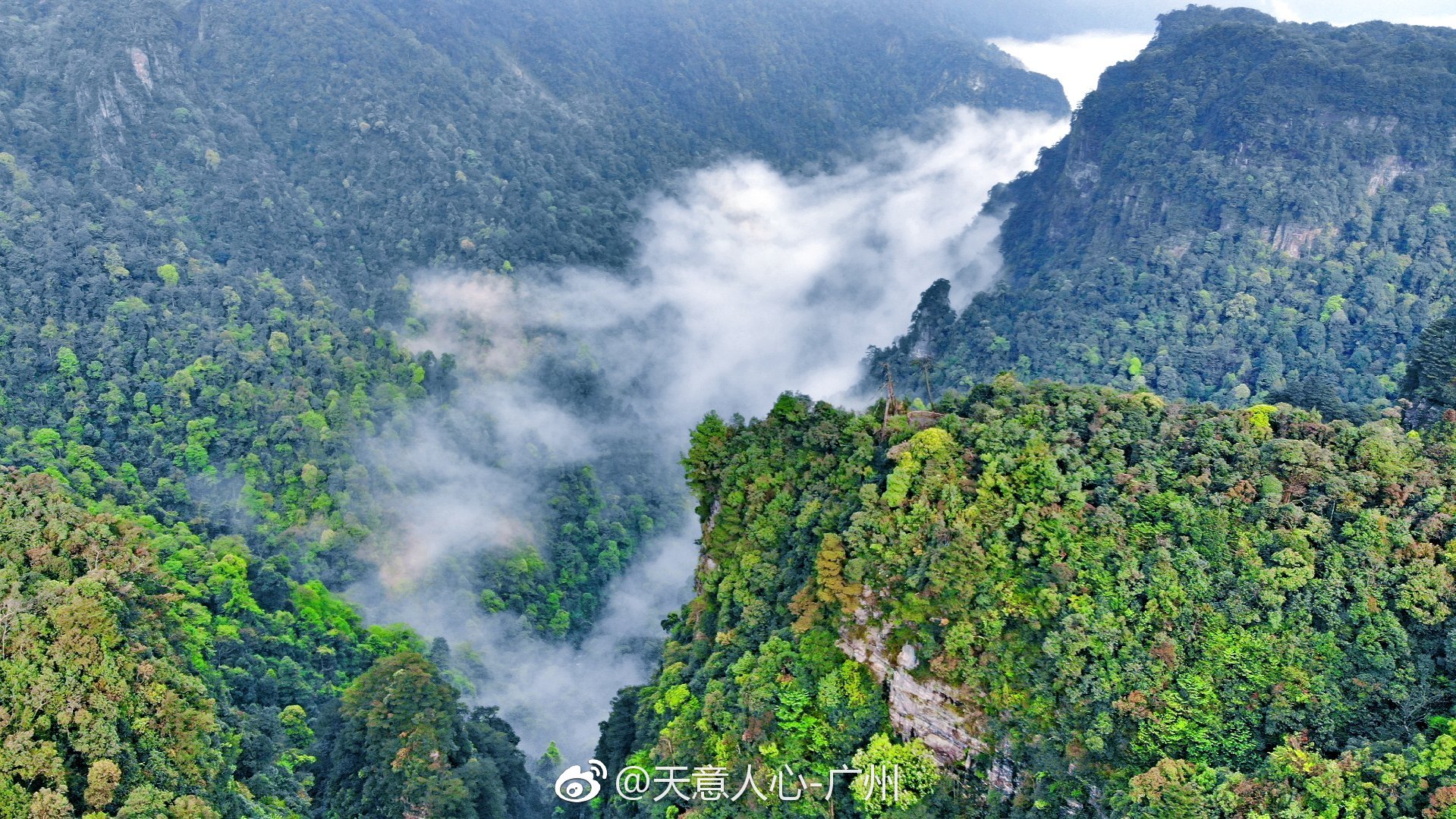 大明山又叫大鸣山,地处广西中部,北回归线从中部穿过