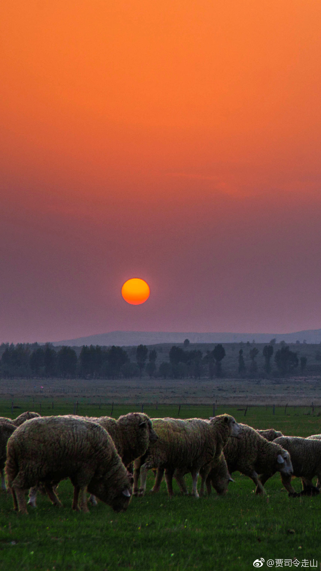 送一堆朝气蓬勃的小太阳祝大家日照高升
