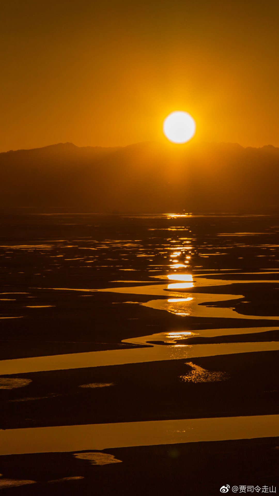 送一堆朝气蓬勃的小太阳祝大家日照高升