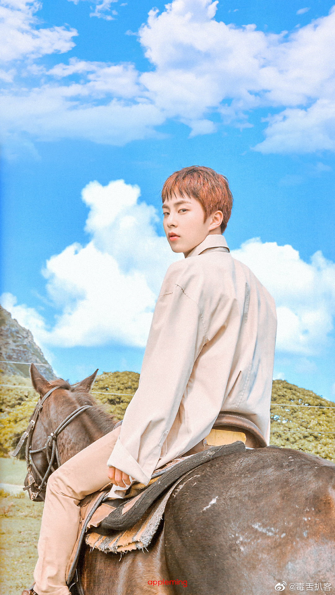 exo成员xiumin和少女时代成员崔秀英姐姐崔秀珍被曝恋情