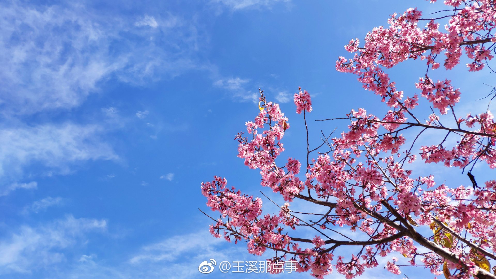 爱拍照的小伙伴们对着镜头摆出了最少女心的pose