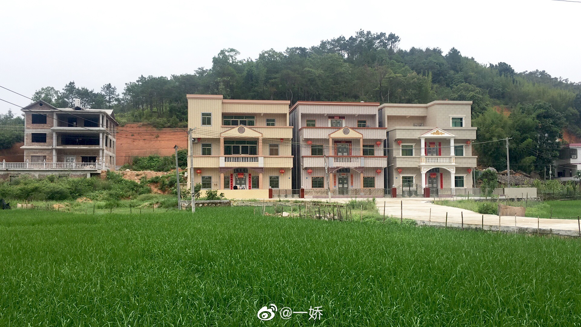 村里的房子大多数没人居住独栋别野不少也许多排屋