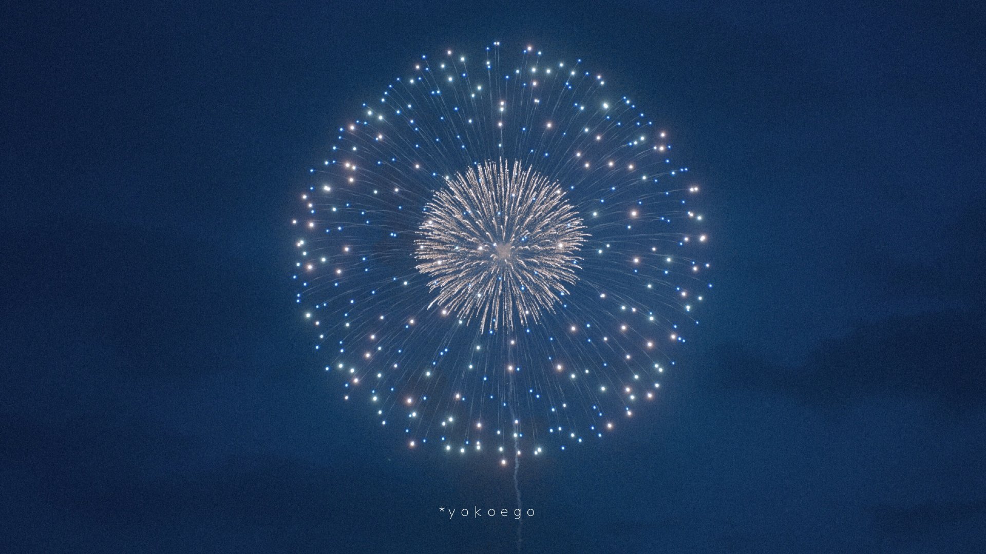 七月限定的镰仓花火已经成为了我的每年七月定番在海边听着南天群星