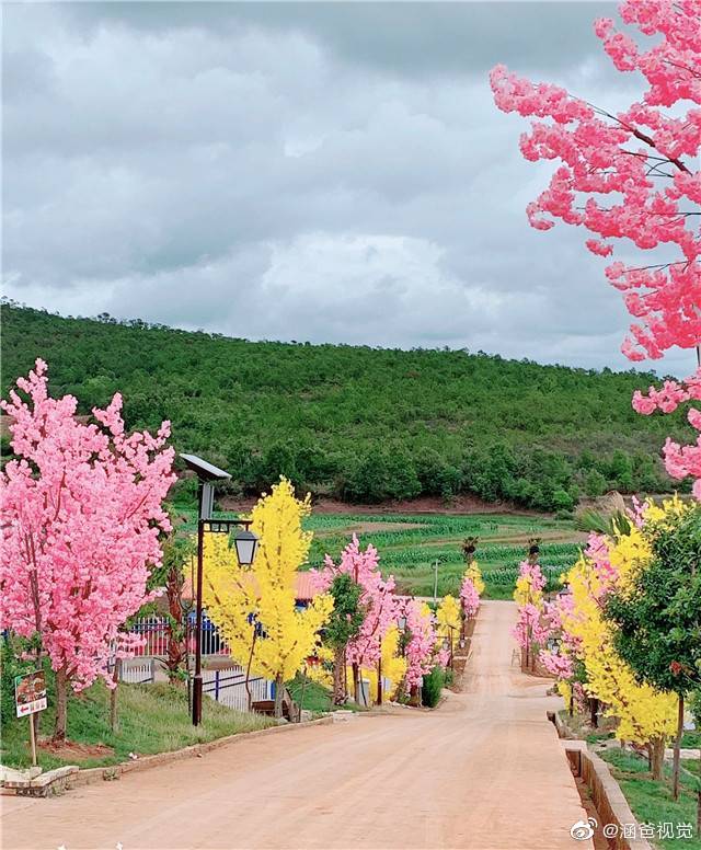 楚雄锦升玫瑰温泉度假庄园野,不仅可以品美食