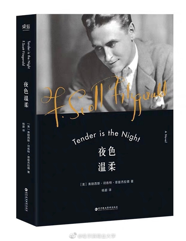 夜色温柔是菲茨杰拉德最后一部完成的长篇小说