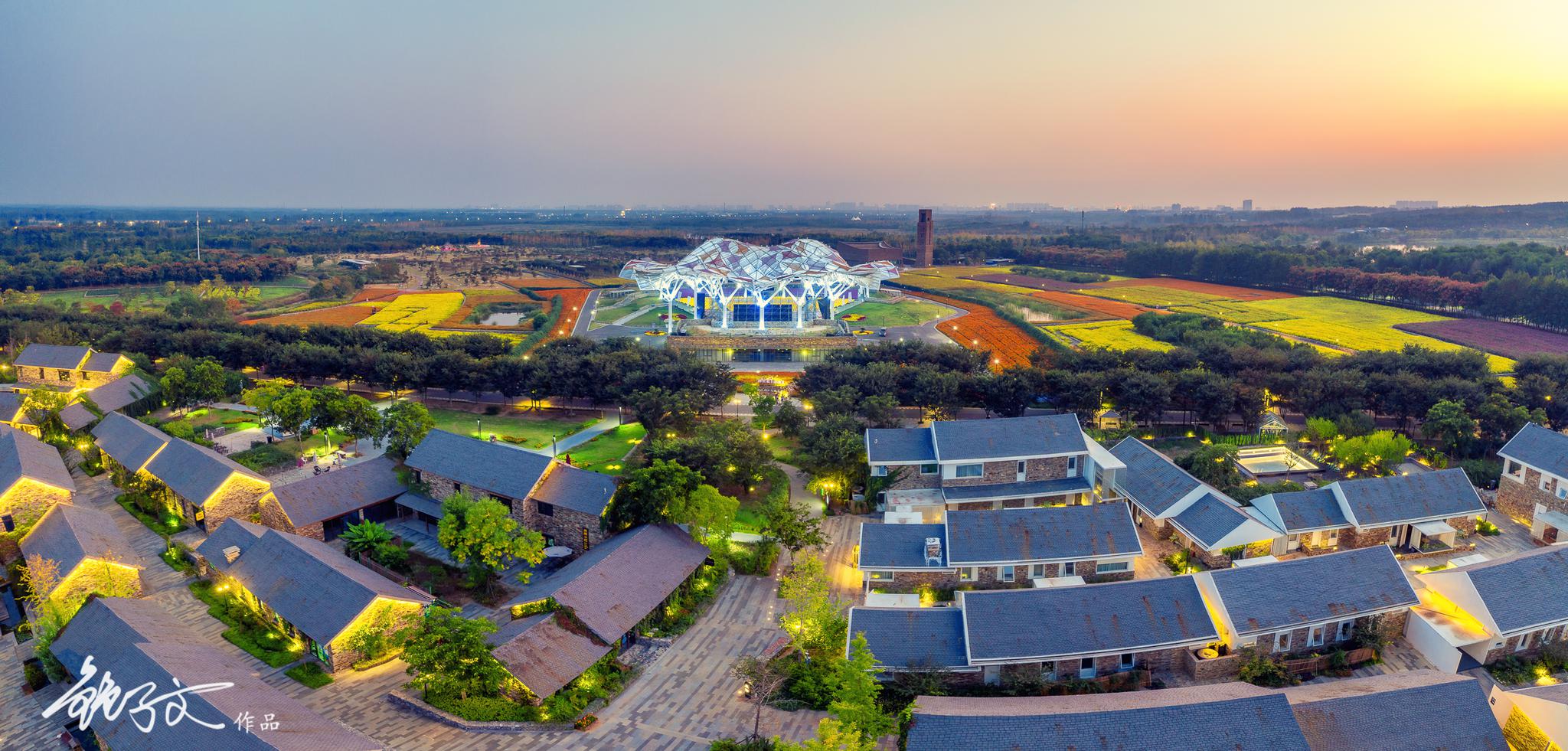 花漾宿迁,挡得住的洋河酒,挡不住的衲田花海秋