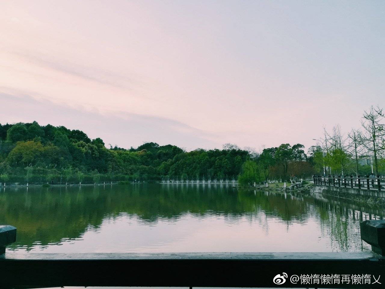 重庆大学虎溪校区一游可谓是山水美饭菜香人情浓春江水暖"鹅"先知