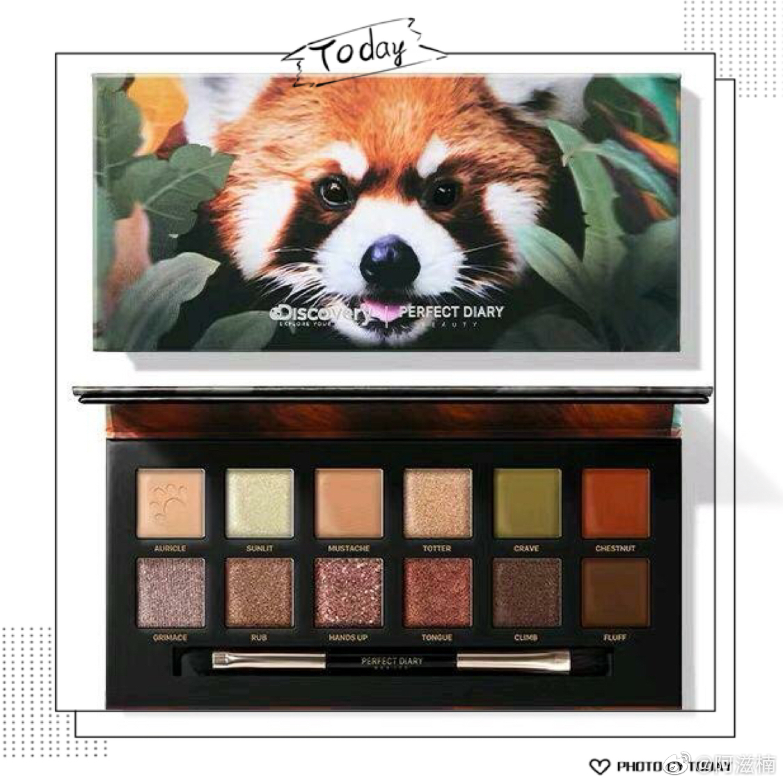 完美日记 小熊猫盘 动物眼影_高清图集_新浪网