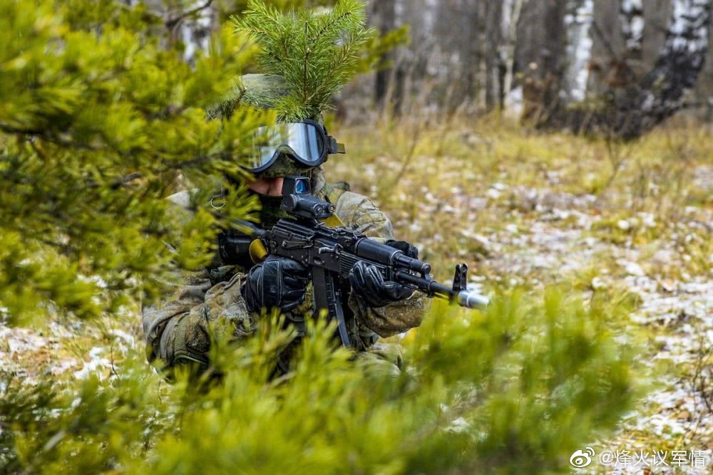 俄罗斯西部军区第96独立侦察旅的侦察兵们演练丛林战