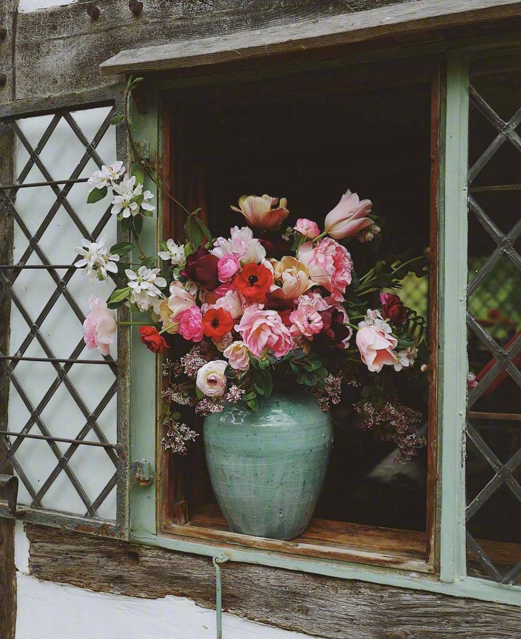 莳花摄影人:milliproust