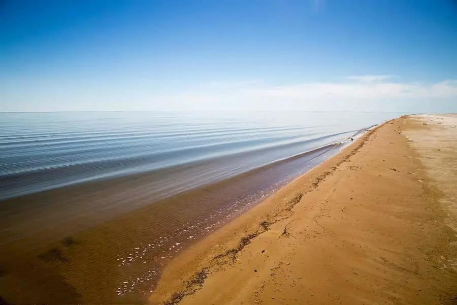 此国凑齐了40艘军舰,却发现海没了,网友喊话:卖给蒙古|蒙古|咸海|海军