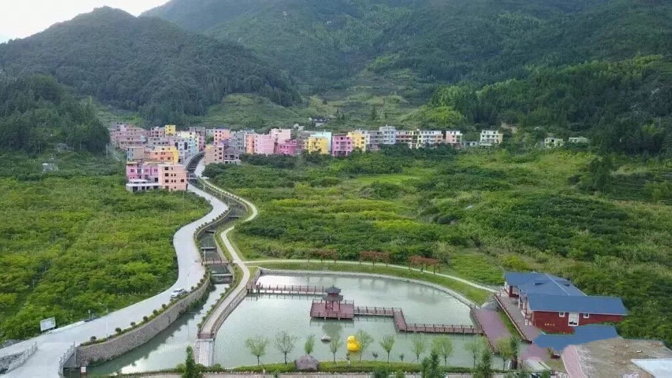 周宁 | 忆往昔植树绿荒山,看今朝山乡展新颜|黄振芳|周宁|美丽乡村_新浪新闻
