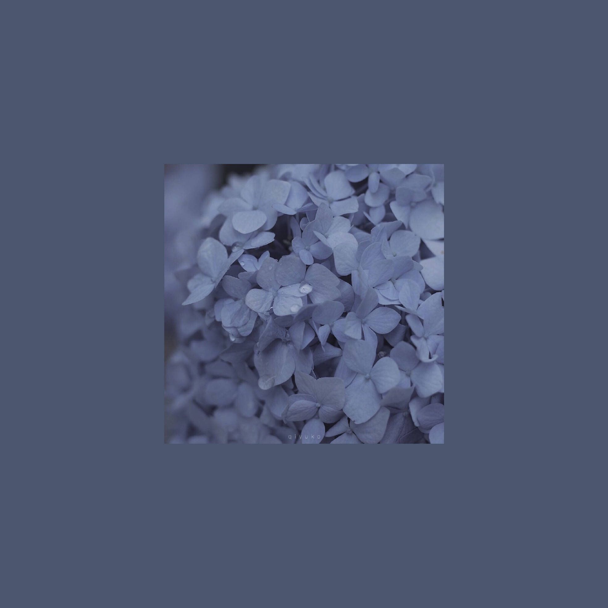 雾霾蓝vsco手机调色教程