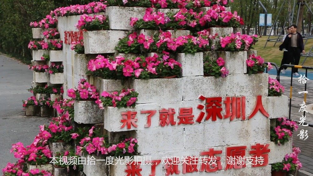 实拍春天里的深圳人才公园,来了就是深圳人,深圳人才欢迎你