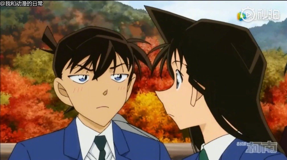 视频:日本综艺《世界恐怖之夜》2016春sp