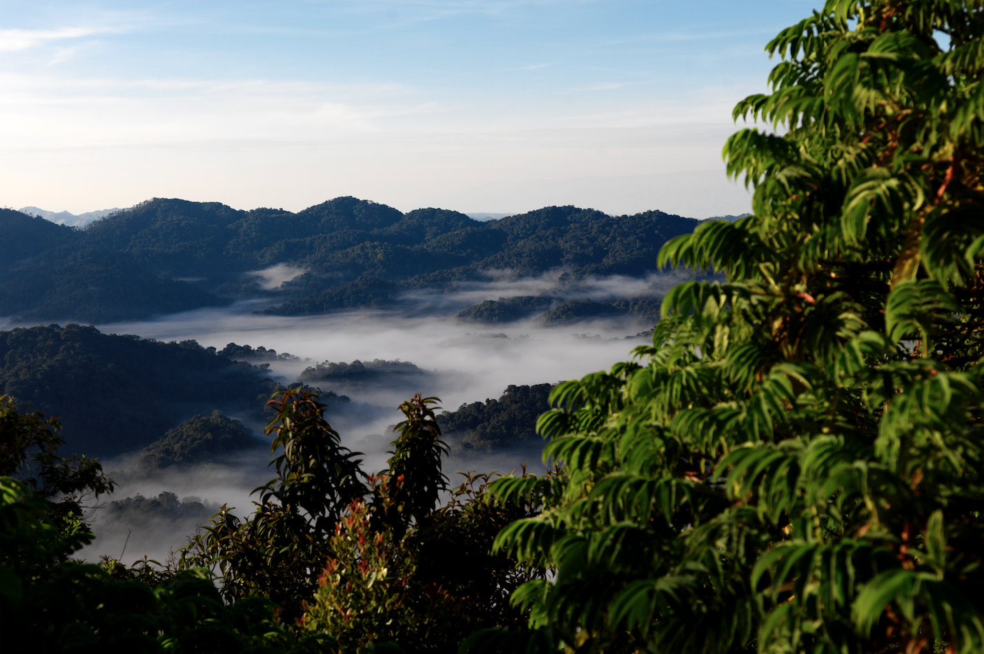 2019卢旺达旅行最全攻略,这个东非国家值得一去!
