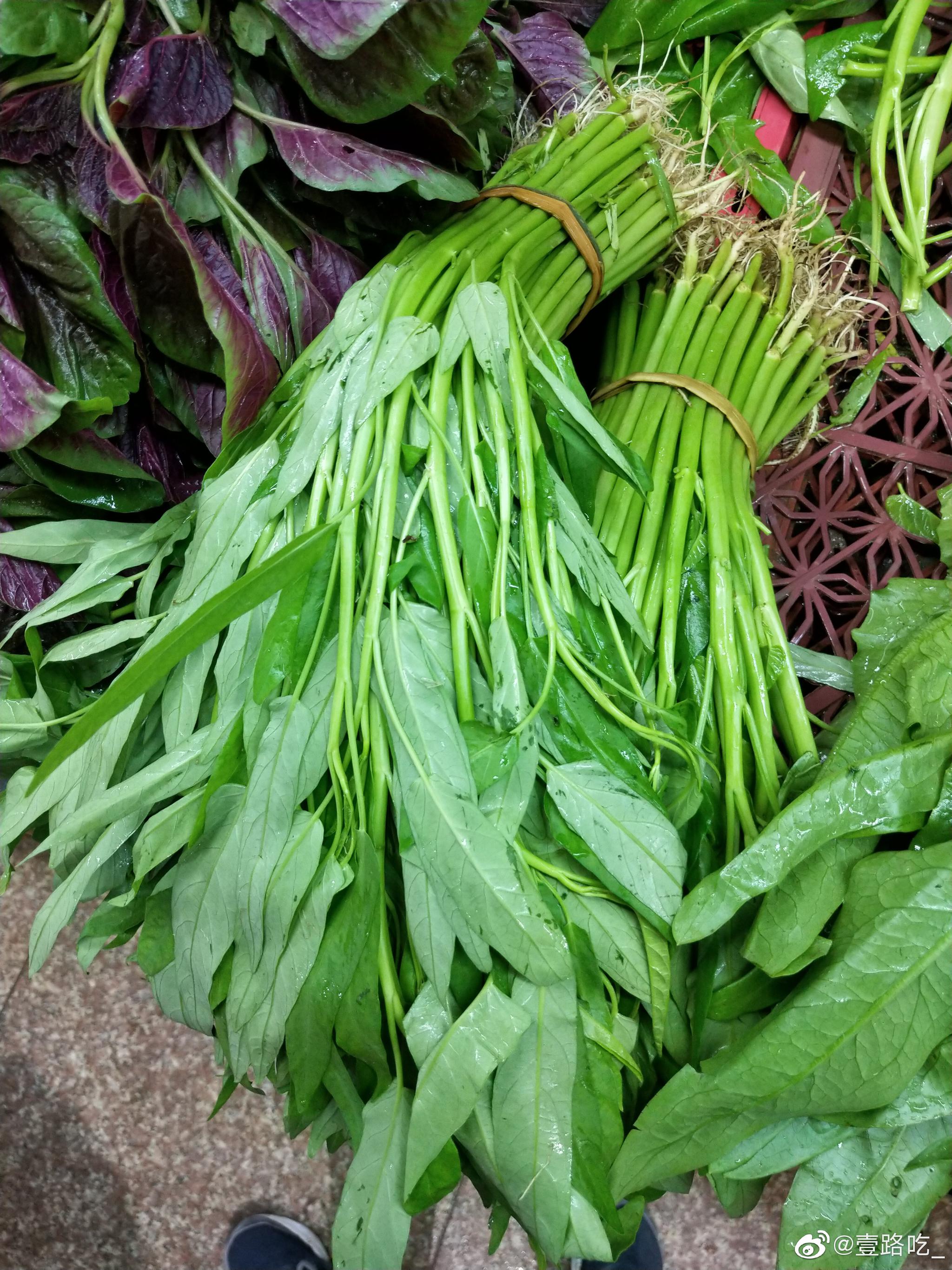 南北方的空心菜长的也不一样南昌的空心菜一般是图二这种