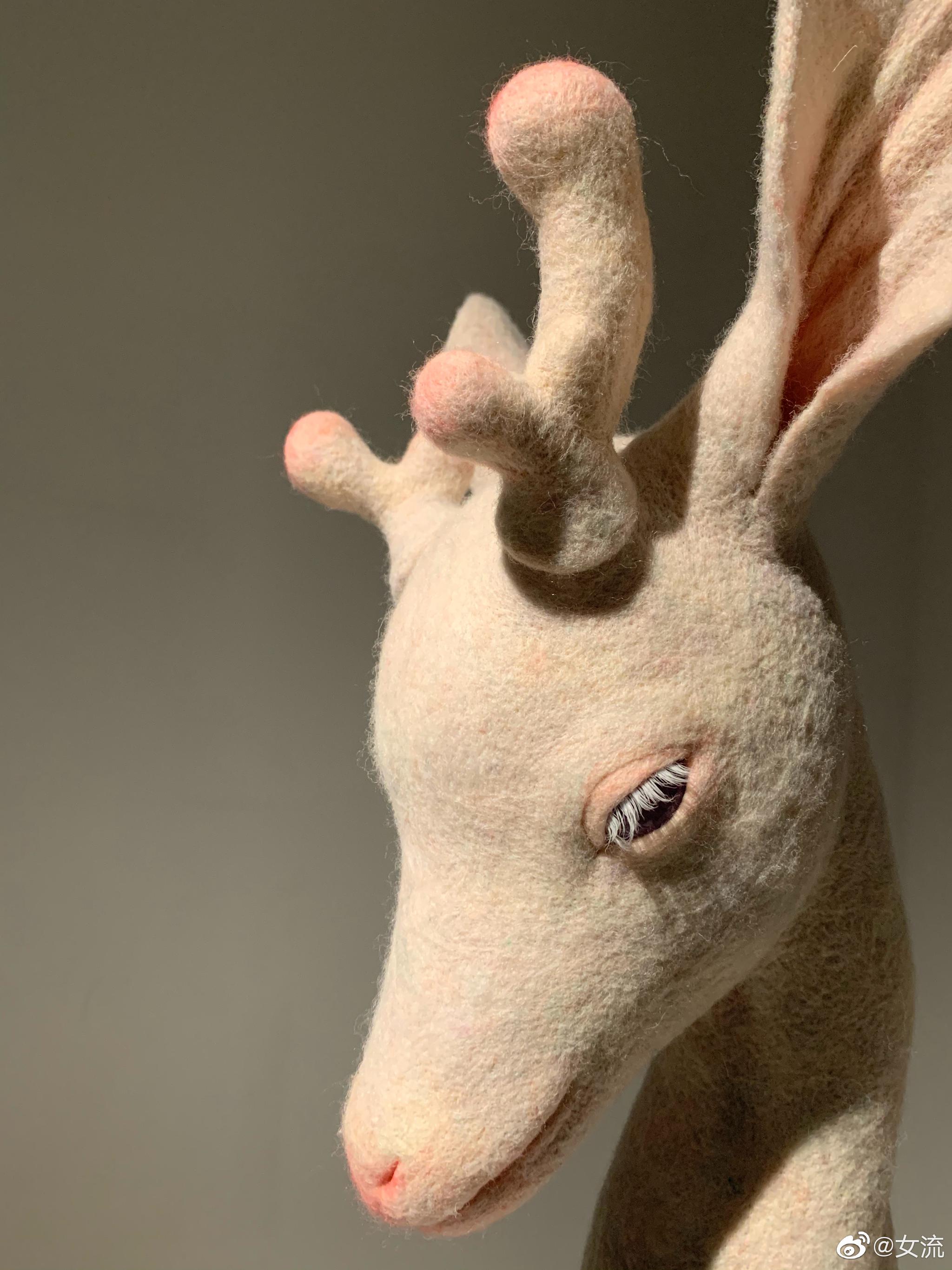 见证着嘟子@殷越_肉嘟子 从酝酿创意,到日复一日的打磨