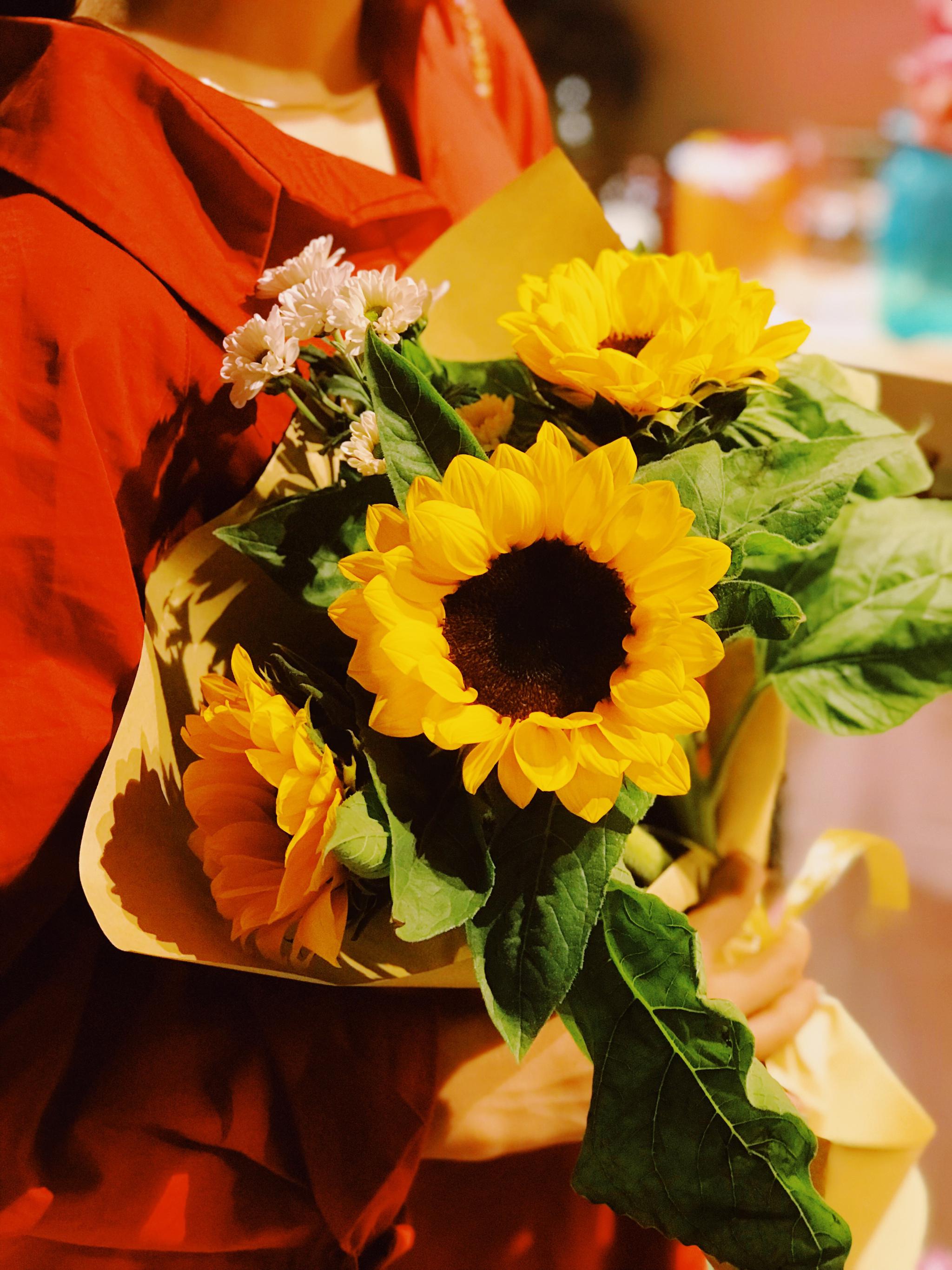 向日葵花语 沉默的爱 入目无别人 四下皆是你 向日葵花语 沉默的爱 入目无别人 四下皆是你