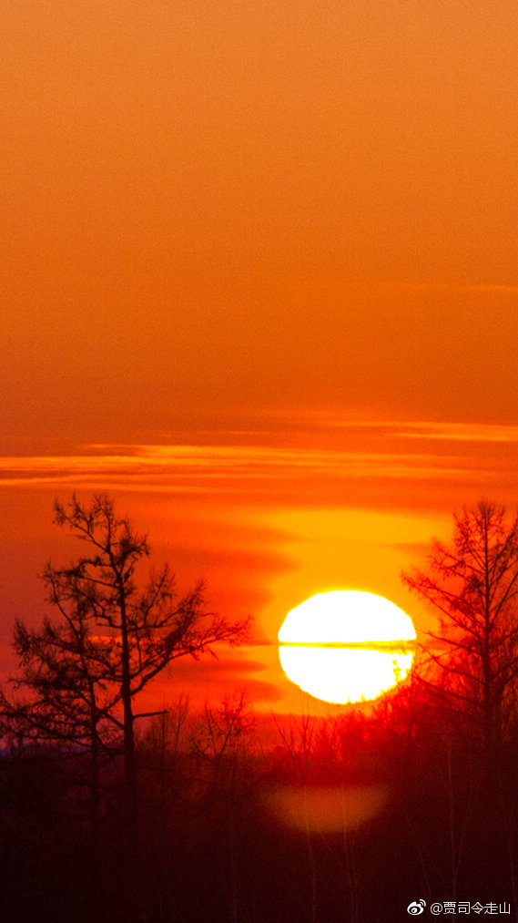 送一堆朝气蓬勃的小太阳祝大家日照高升
