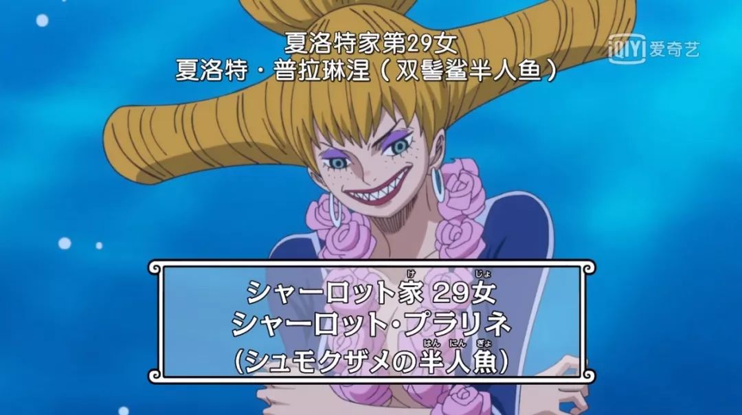 盘点海贼王大妈海贼团所有女儿图鉴
