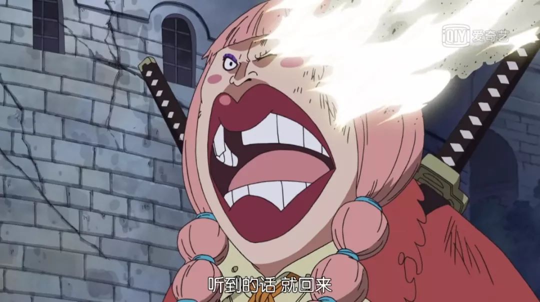 盘点海贼王大妈海贼团所有女儿图鉴