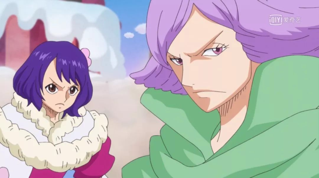 盘点海贼王大妈海贼团所有女儿图鉴