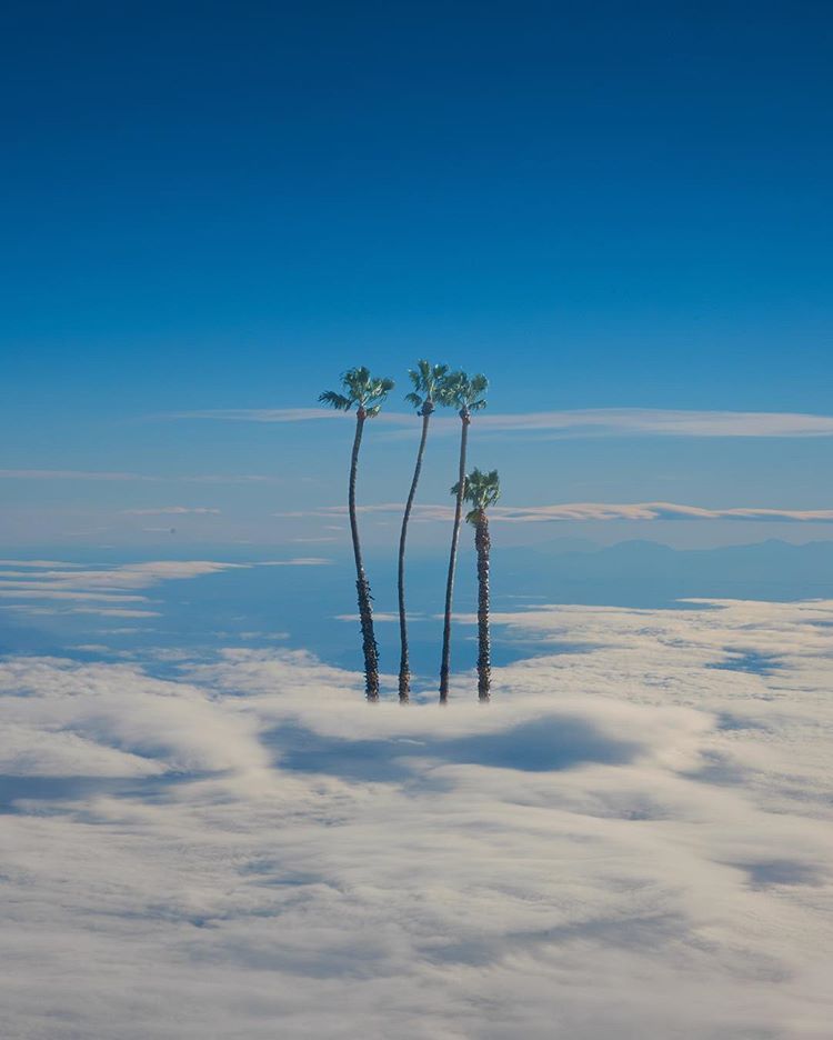 生活在云端kangheekim