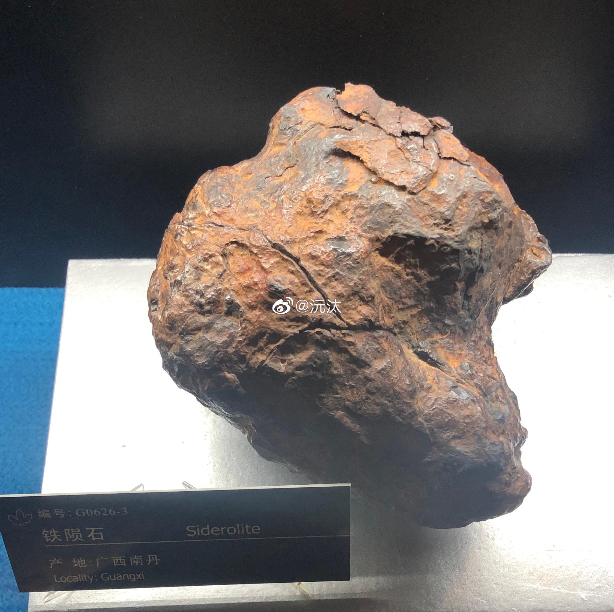 地质博物馆场地小,人少,很适合闲逛.快开学了