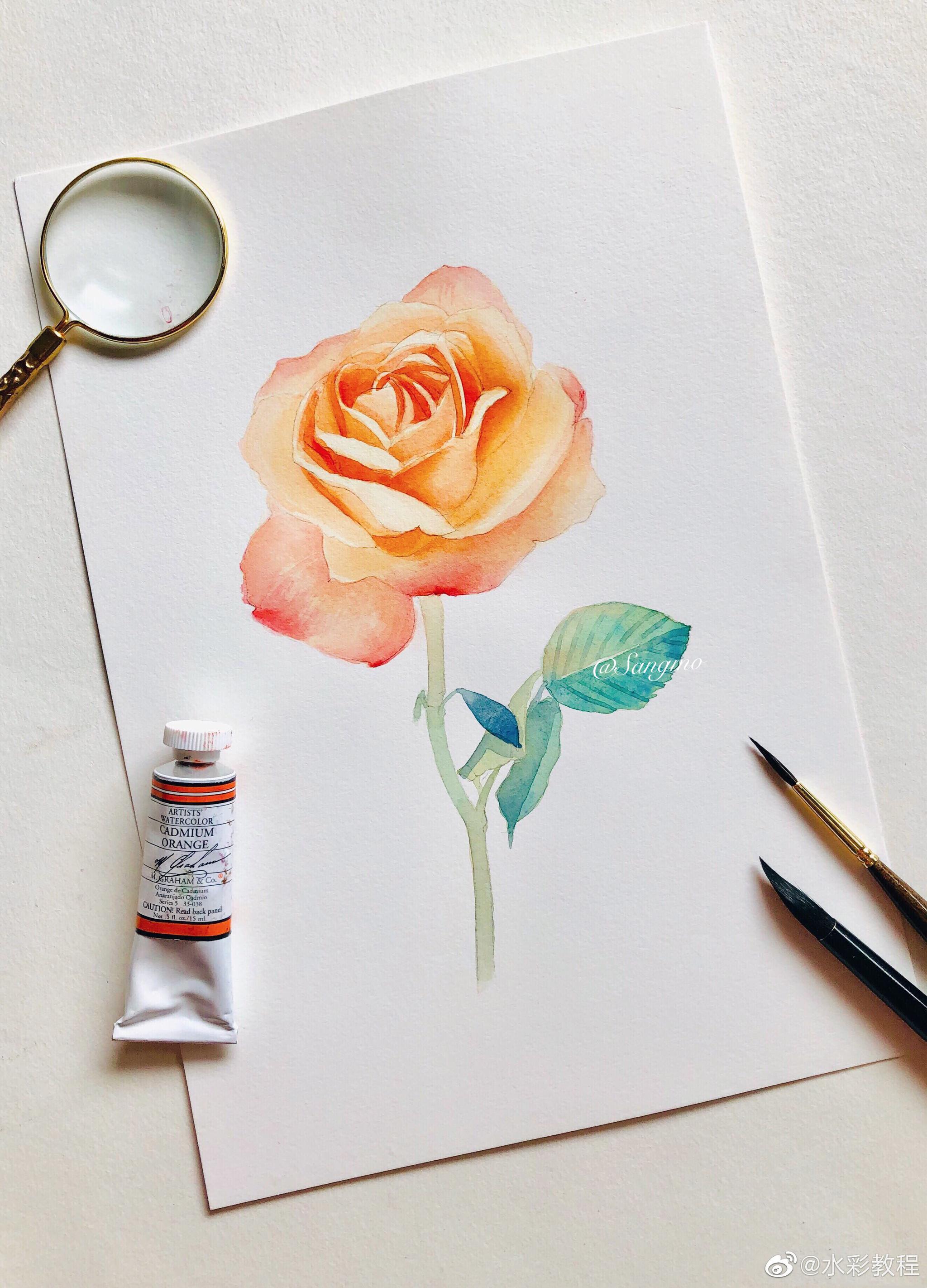 水彩花卉,by@桑陌水彩_高清图集_新浪网