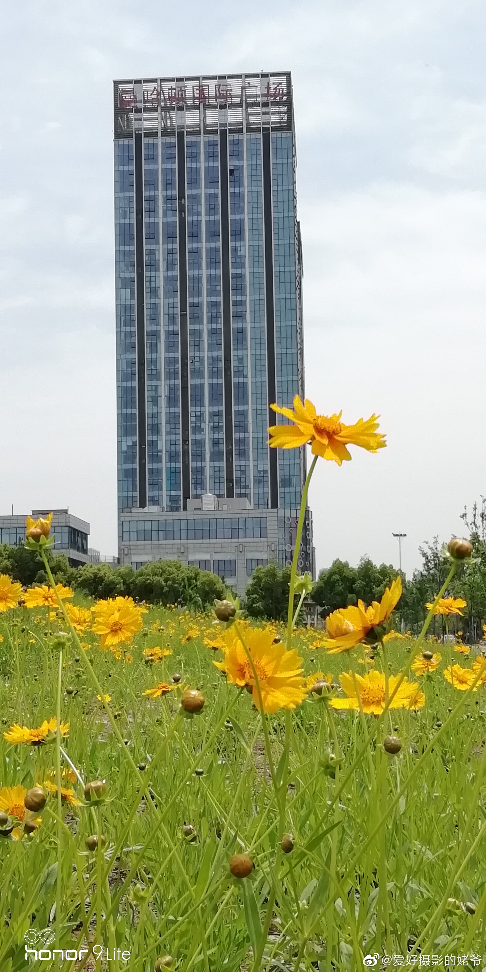 常州市新北区中央花园.节日人多,去公园散步,吸些新鲜空气挺好的