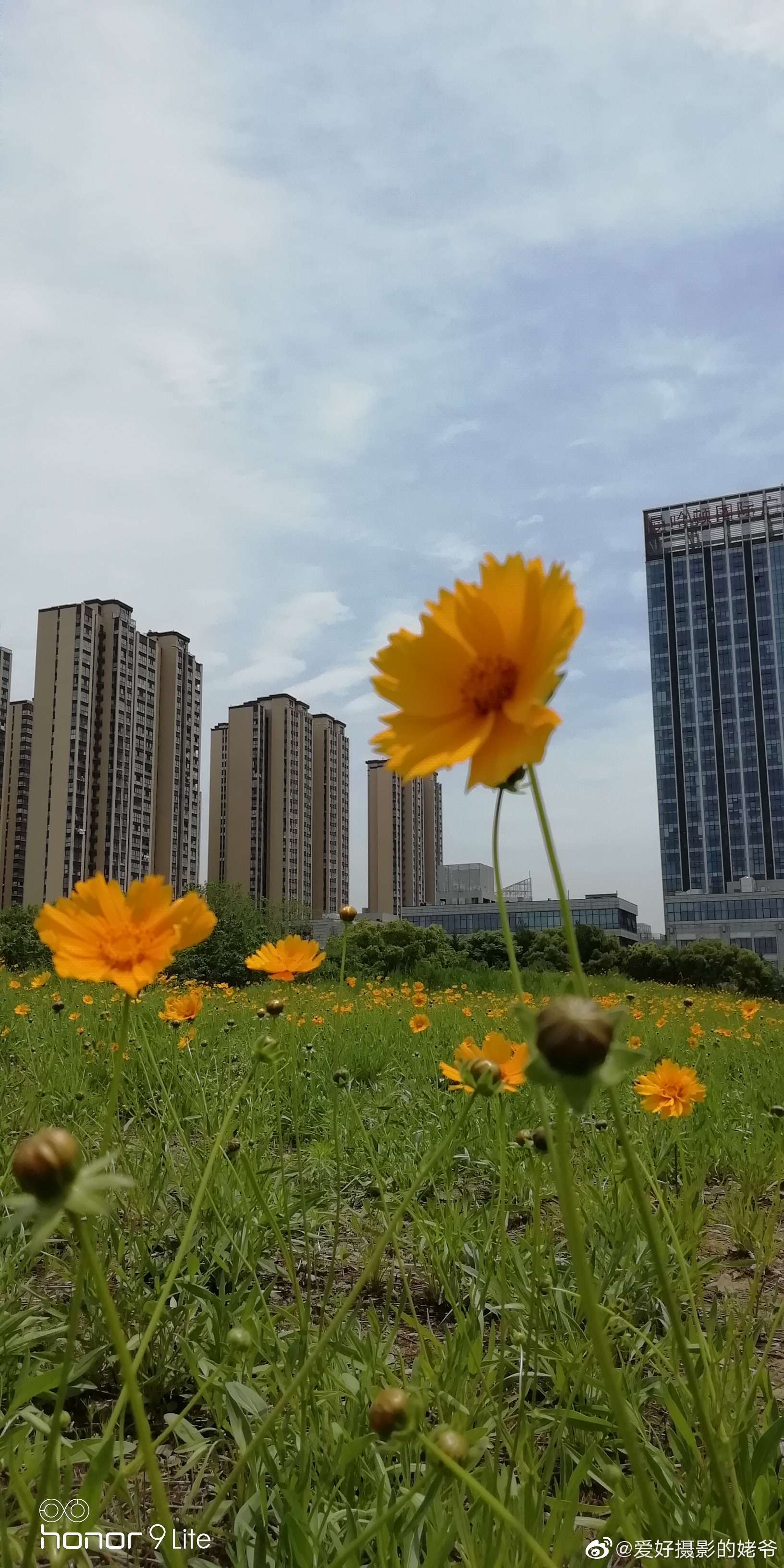 常州市新北区中央花园.节日人多,去公园散步,吸些新鲜空气挺好的