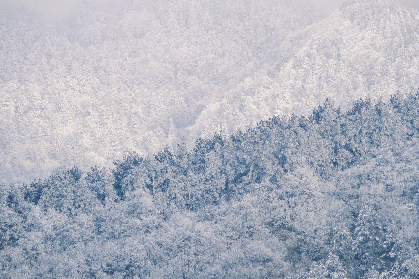 雪花片片飘落下来,不大不小