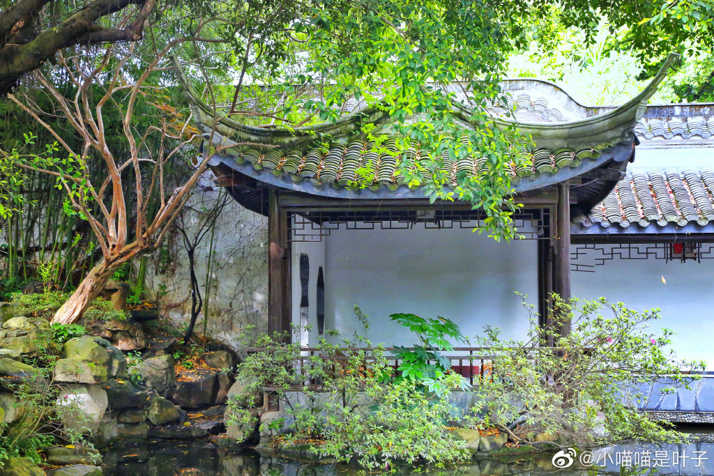 易园园林艺术博物馆位于成都金牛区的金牛坝路,这里"半村半廊"