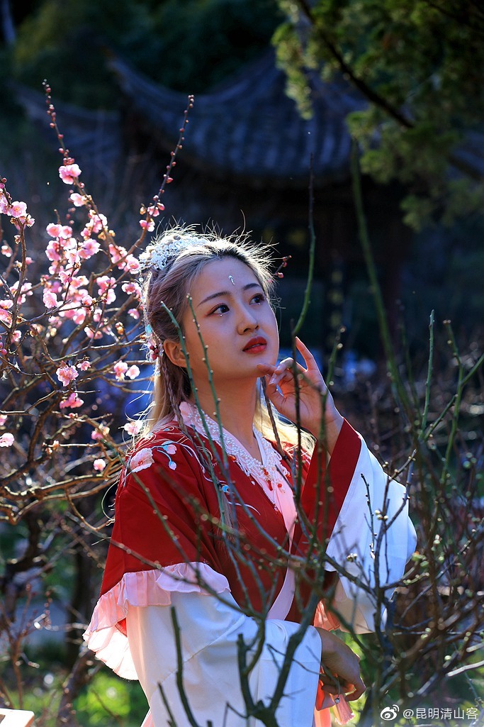 梅花与汉服姑娘(春节前摄于昆明黑龙潭公园)@镜界 @爱玥儿- @内拉在路