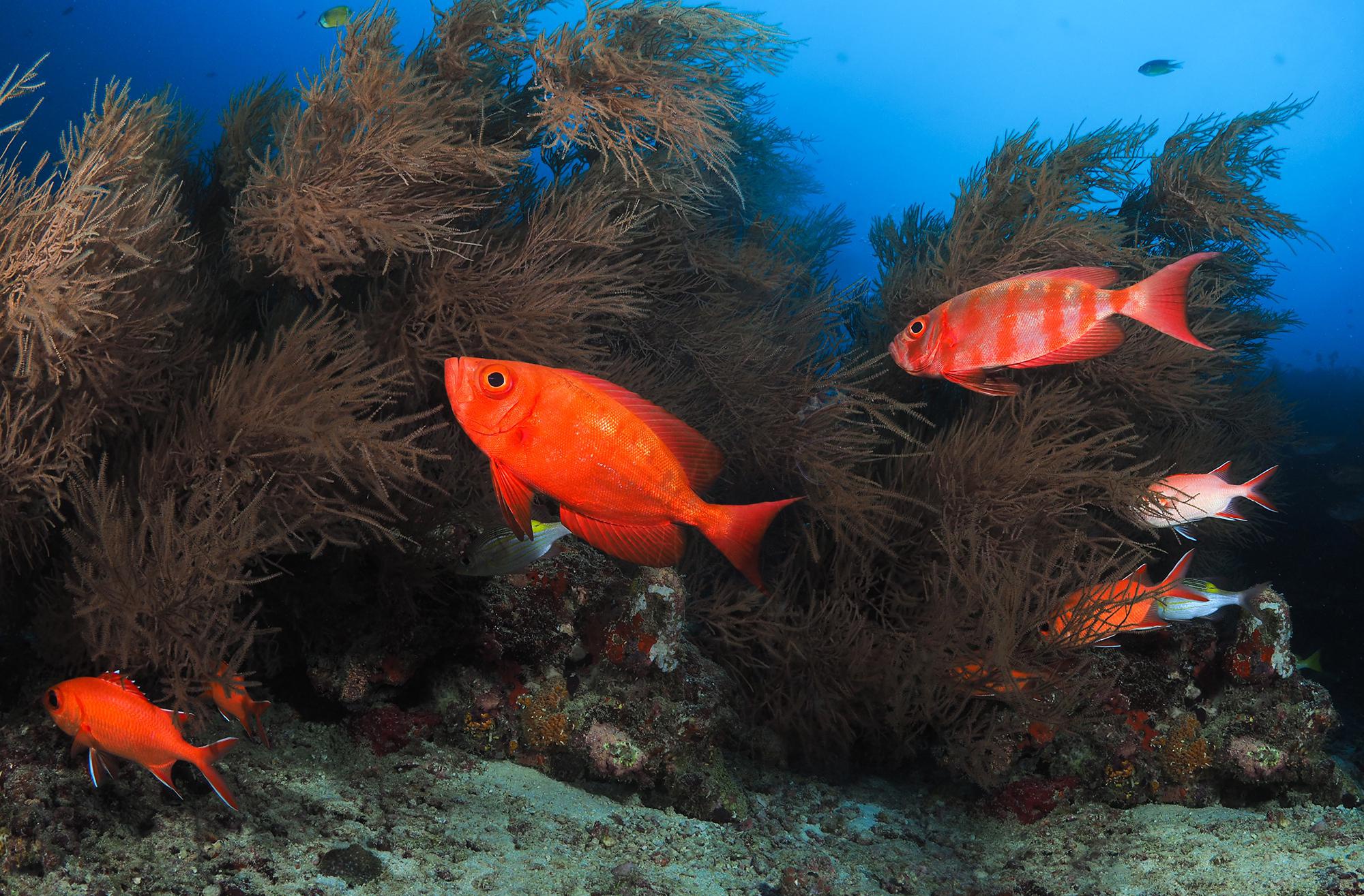 看看我的"水族箱",漂亮不?
