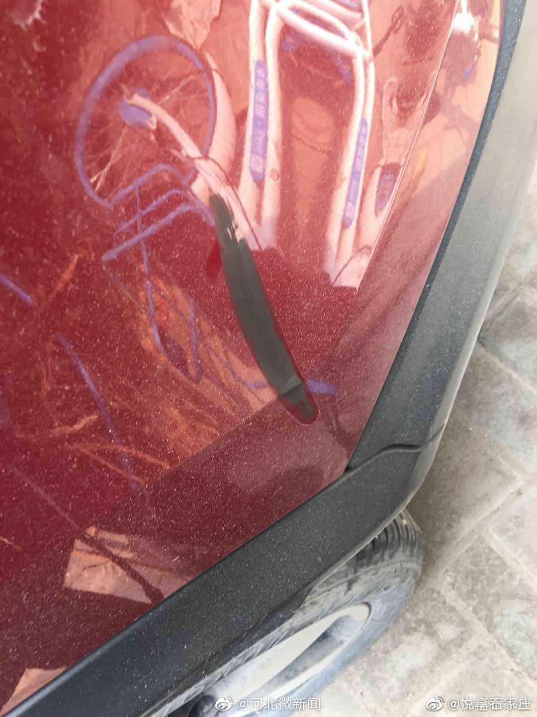 车被路边的共享单车蹭了,找不到肇事者,该怎么解决