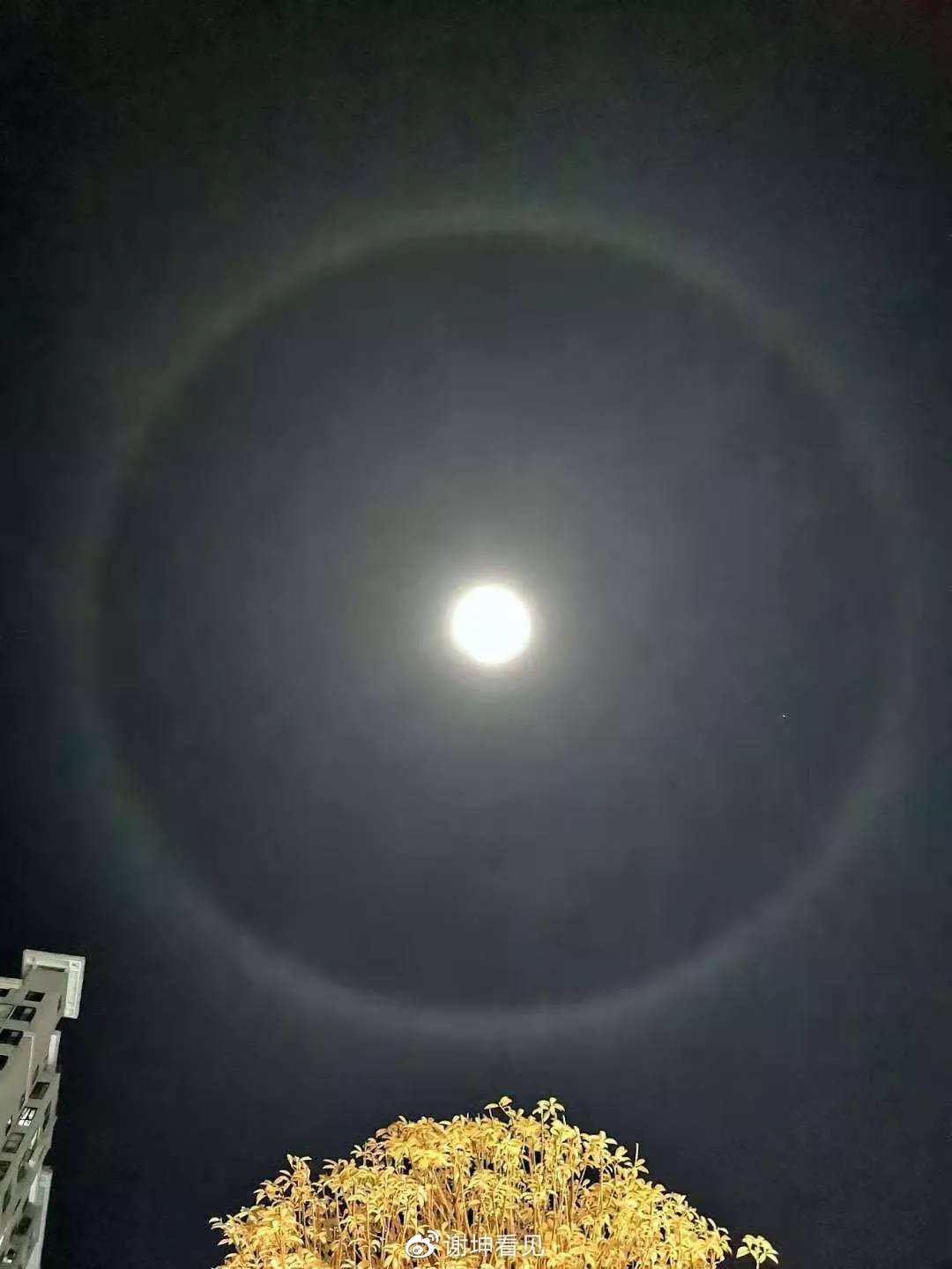 谢坤看见昨夜安康现罕见月晕奇观