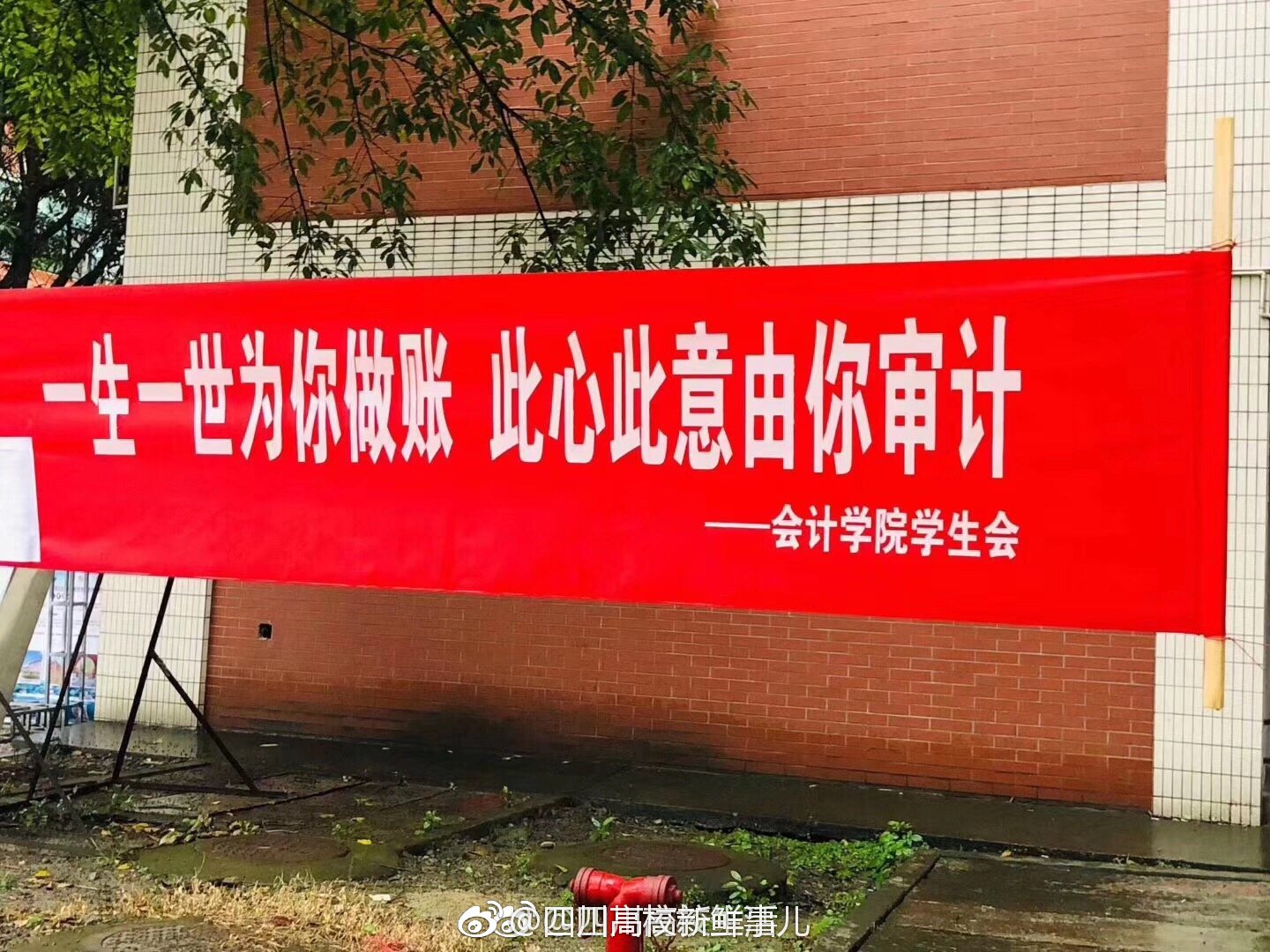拉横幅标语违法吗 沃尔沃XC60投诉暴涨是怎么回事