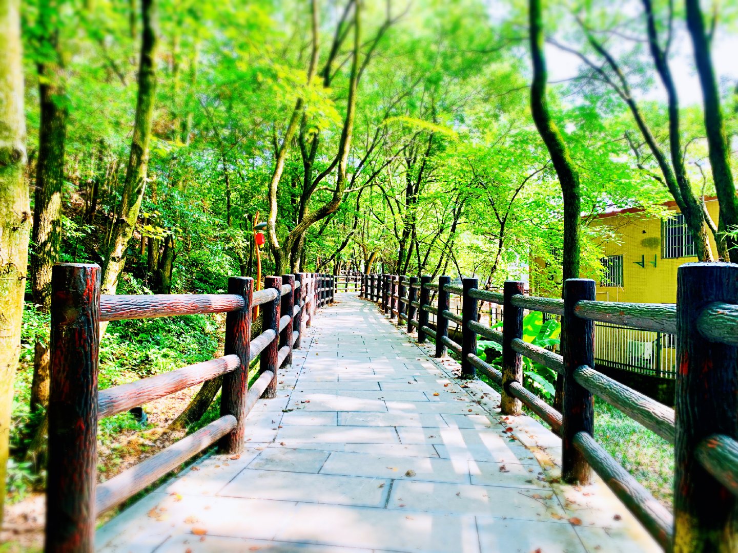 改造后的浮梁天宝公园