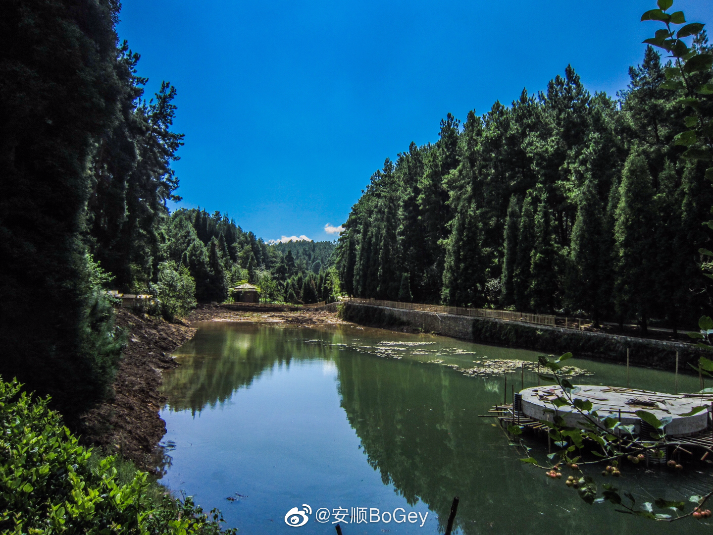 网友时间烧硫酸投稿的九龙山森林公园变化好大好想去好想去