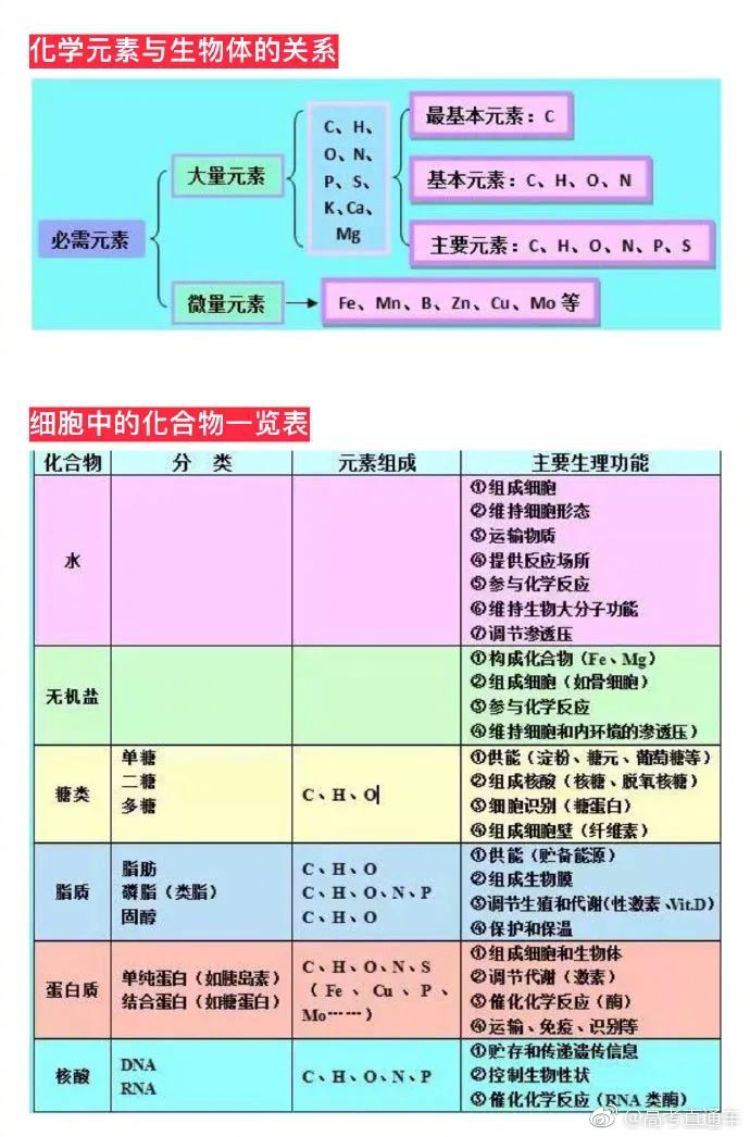 超全生物知识点思维导图 理科必备 超全生物知识点思维导图 理科必备