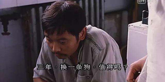 葛优这样“窝囊”，我第一次见