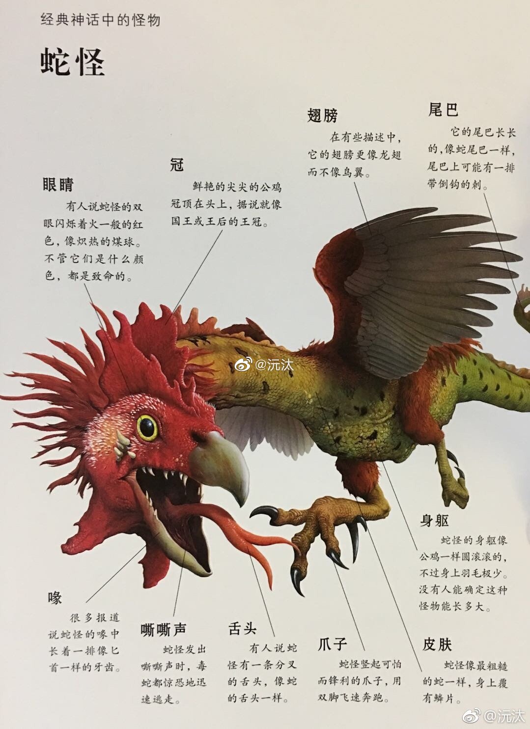 第一,鸡头蛇怪.产地欧洲_高清图集_新浪网